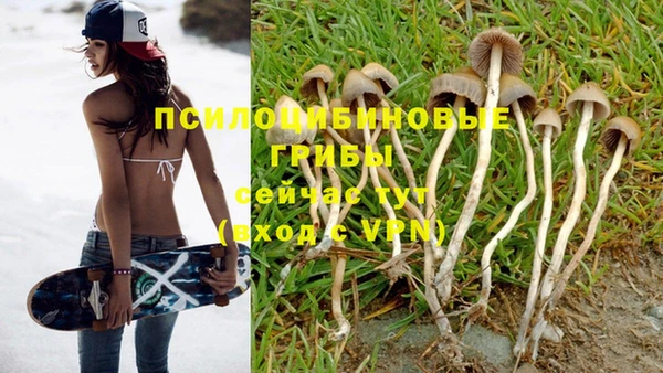 стафф Беломорск