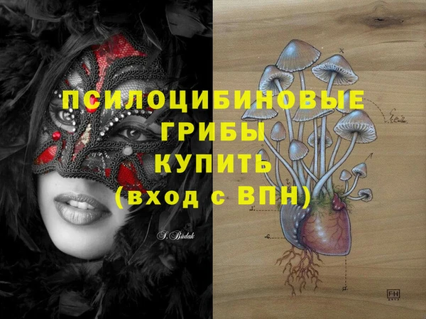 ALPHA-PVP Белокуриха