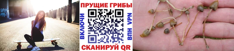 Галлюциногенные грибы прущие грибы  Кизел 